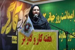 ​تأکید معاون روابط کار وزارت تعاون بر ضرورت تغییر نگرش در بازار کار/ مهارت، ستون امنیت شغلی در آینده است