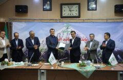 انتصاب سرپرست جدید معاونت فنی اموال و مسئولیت بیمه البرز