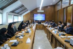 پرهیز از نگاه پروژه‌محور به پدیده فرونشست؛ مطالعات جامع برای ارائه راهکارهای عملیاتی/ ضرورت تهیه نقشه خطر فرونشست در شهر مشهد