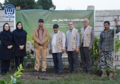 کاشت ۱۱۰۰ نهال مثمر به نام فرزندان ممتاز کارکنان بیمه آسیا