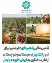 تأمین مالی زنجیره ای؛ فرصتی برای عبور کشاورزی سیستان و بلوچستان از فقر ساختاری به ارزش افزوده پایدار