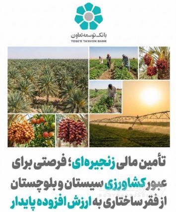 تأمین مالی زنجیره ای؛ فرصتی برای عبور کشاورزی سیستان و بلوچستان از فقر ساختاری به ارزش افزوده پایدار