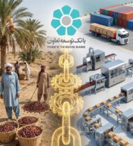 ابتکار عمل حاکمیتی وزارت تعاون، کار و رفاه اجتماعی با تبیین نقش عملیاتی بانک توسعه تعاون