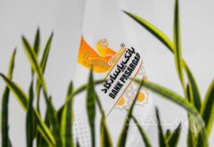 تجلیل بانک پاسارگاد از افتخارآفرینان والیبال کشور در مراسم بیستمین سالروز تأسیس بانک