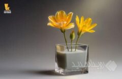 عملکردی فراتر از تعهدات؛ تحقق ۱۰۴ درصدی سهمیه تسهیلات ازدواج در بانک پاسارگاد تا پایان آذرماه ۱۴۰۴