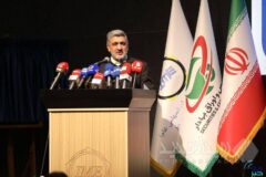 به بازار نقره امیدوار هستم/ عبور از فلز زینتی به دارایی صنعتی و سرمایه ای/ طراحی ابزارهای ارزی متصل به کالا عملیاتی می‌شود