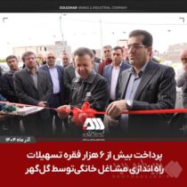 پرداخت بیش از ۶ هزار فقره تسهیلات راه اندازی مشاغل خانگی توسط شرکت گل گهر