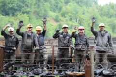 شرکت معادن زغالسنگ البرزشرقی در مسیر توسعه با تمرکز بر کیفیت تولید