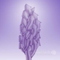 بانک اقتصادنوین در رتبه سی‌وسوم شرکت‌‌های برتر کشور قرار گرفت