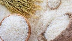 قیمت برنج کاهشی شد/بازار برنج به زودی متعادل می شود