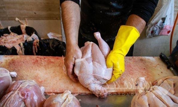 جوجه ریزی دی ماه به ۱۶۵ میلیون قطعه می‌رسد