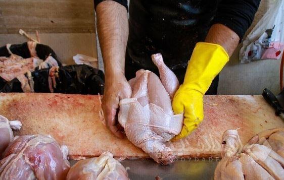 قیمت مرغ به ۲۱۰ هزارتومان کاهش رسید