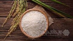 قیمت برنج در میادین و بازارهای میوه و تره بار اعلام شد