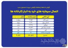 «گواهی سپرده کالایی» نقطه اتصال سرمایه های خرد به انبار کارخانه ها