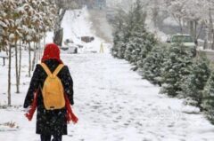 تعطیلی مراکز اداری استان تهران برای فردا شنبه