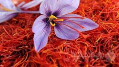 رشد ۵۰ درصدی صادرات طلای سرخ ایرانی در گرو رفع موانع