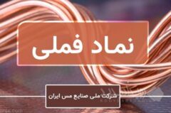 «فملی» آنلاین به پرسش‌های سهامداران پاسخ می‌دهد