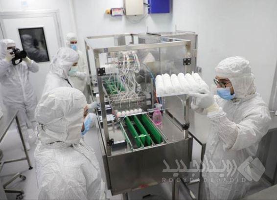 تولید واکسن‌های چندگانه طیور به همت دانش‌بنیان‌ها