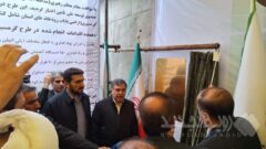 ۵ هزار هکتار زمین کشاورزی ایلام به بار نشست