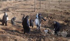 افزایش سرانه فضای سبز بوستان فرامنطقه‌ای سرخه‌حصار