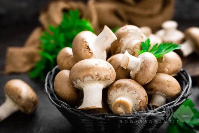 قیمت انواع قارچ اعلام شد