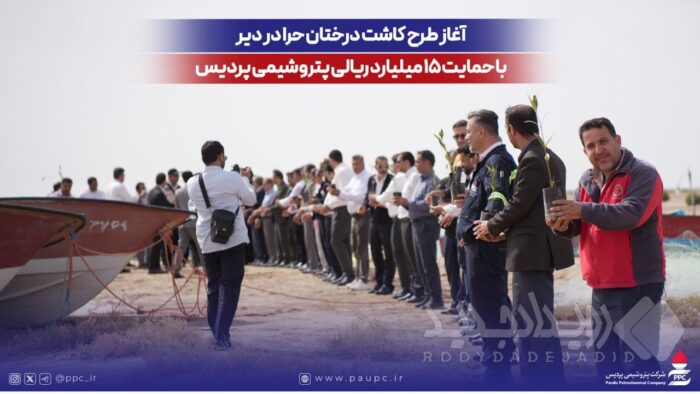 آغاز طرح کاشت درختان حرا در دیر با حمایت ۱۵ میلیارد ریالی پتروشیمی پردیس