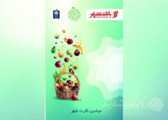 میادین کارت عملیاتی شد/ امکان استفاده از میادین کارت توسط سازمان‌های خصوصی و دولتی