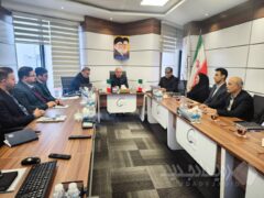 ارزیابی مدل جامع بلوغ مدیریت پروژه در پتروشیمی دهدشت انجام شد