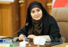 مسکن در شهرهای دارای زمین تامین می‌شود