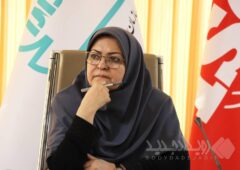 ارتقای توانمندی شرکت‌های بازرسی درحوزه استاندارد ضروری است