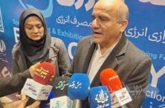 ناترازی انرژی، چالش اصلی صنعت پتروشیمی ایران