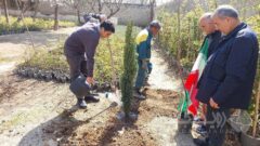 برگزاری پویش درختکاری «به یاد سرو، به نام ایران» در بوستان های منطقه ۵