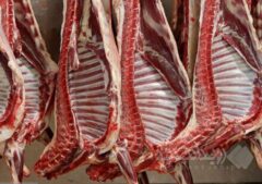 ذخایر دامی و گوشتی کشور مطلوب است/ کاهش قیمت‌ها در بهار