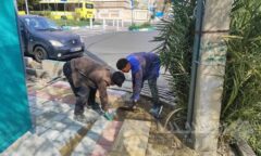 نوسازی و بهسازی بیش از ۳۱۰۰ مترمربع پیاده‌رو در ۸ معبر منطقه۱۳