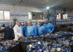 بازدید معاون وزیر صمت از واحدهای تولیدی مواد غذایی در شهرک صنعتی پایتخت/استمرار تولید و پایداری زنجیره تامین کالاهای ضروری مردم