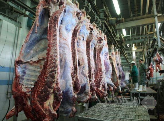 تامین مطلوب گوشت قرمز در کشور/ قیمت گوشت متعادل است