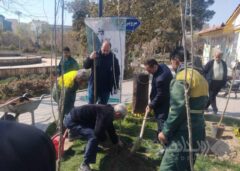 توزیع و کاشت هزار نهال در فلکه دوم نیروی هوایی منطقه۱۳ به یاد امام شهیدان