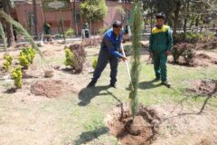 کاشت و اهدای هزار نهال مثمر به شهروندان در بوستان پیروزی منطقه۱۳