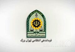 دستگیری فردی مرتبط با شبکه‌های معاند و کشف سلاح در پایتخت
