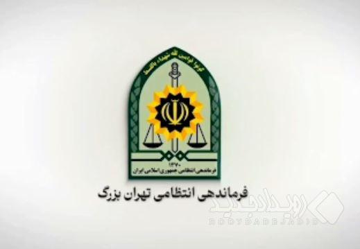 دستگیری فردی مرتبط با شبکه‌های معاند و کشف سلاح در پایتخت