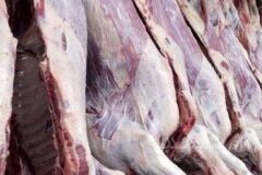 کمبودی در تامین گوشت نداریم