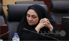 تسهیل تامین مواد اولیه صنایع/ واردات مواد پتروشیمی و پلیمری از رویه‌های ملوانی و کولبری