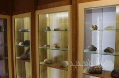 اهدای بیش از ۳۰۰ نمونه فسیل آموزشی و پژوهشی به موزه اداره کل زمین‌شناسی و اکتشافات معدنی استان کرمان
