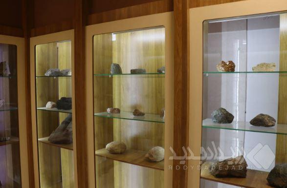 اهدای بیش از ۳۰۰ نمونه فسیل آموزشی و پژوهشی به موزه اداره کل زمین‌شناسی و اکتشافات معدنی استان کرمان