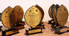 نشان افتخار جشنواره ملی بهره‌وری برای «دی‌دار»/ بیمه دی بر سکوی نخست تحول دیجیتال