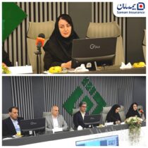 بیمه های متصل به دارایی ، پیوند جدید بیمه و سرمایه گذاری