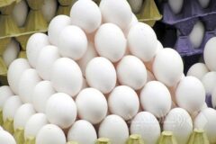 آرامش نسبی در بازار تخم‌مرغ/صادرات از سر گرفته شد