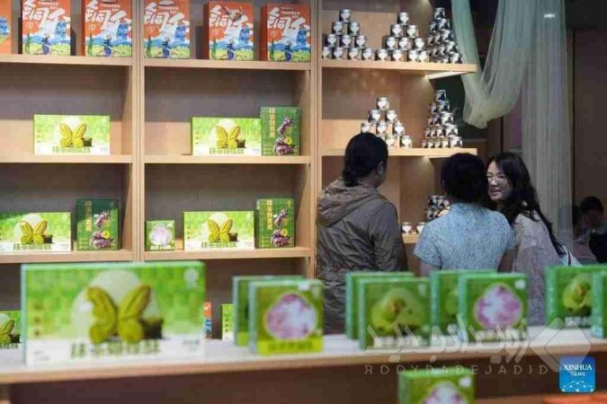 ماچای چینی و زنجیره ارزش جدید؛ رشد سریع صنعت در گوئی‌جو