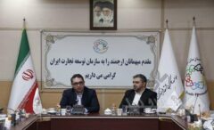 توسعه تجارت الکترونیک فرامرزی از الزامات موفقیت صنایع خلاق/ ظرفیت بالای صادرات خدمات فرهنگی و دانش‌بنیان ایران