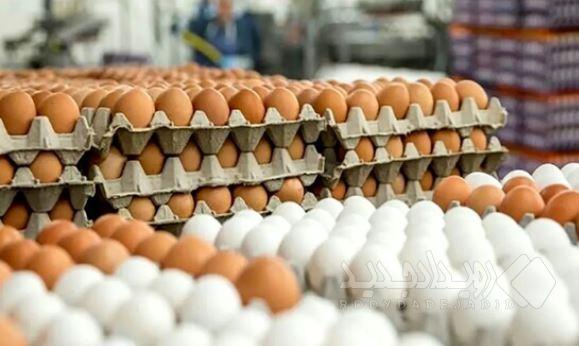 کشف تخم‌مرغ فاسد در شهرری